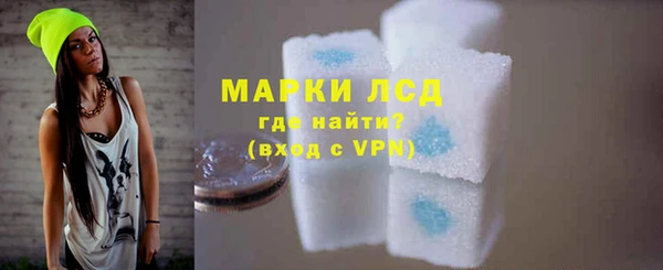 крисы Баксан