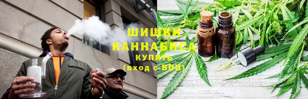 сатива Балабаново