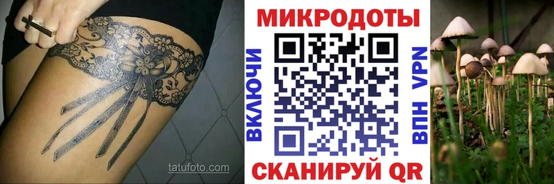 Галлюциногенные грибы MAGIC MUSHROOMS  Колпашево 